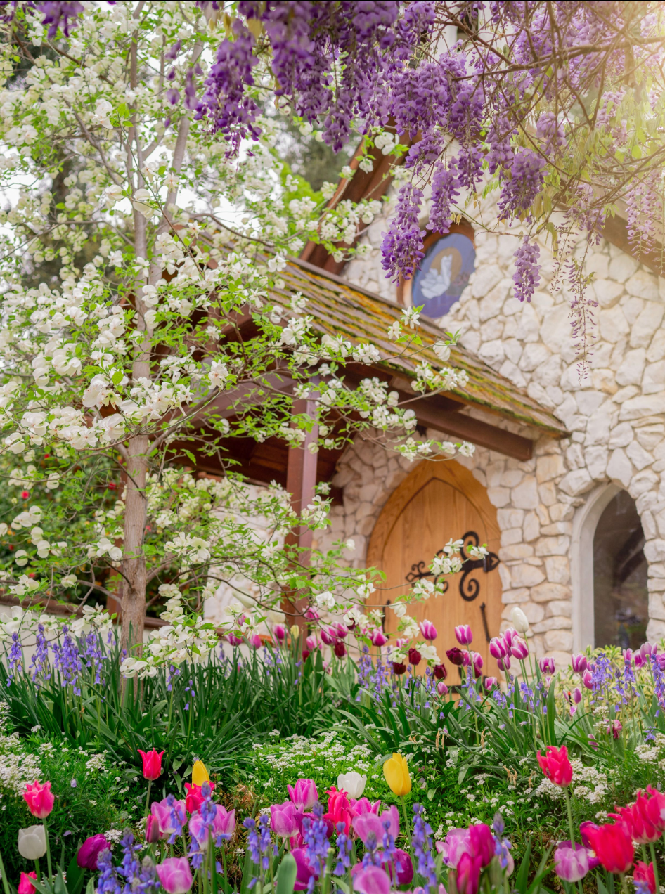 Four Seasons in the GVNC Cultural District