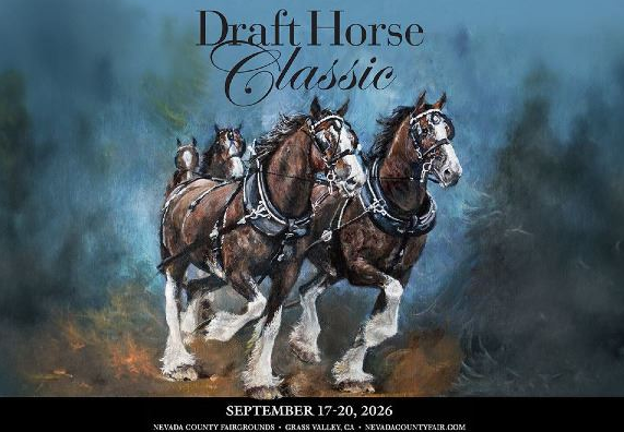 Art at the Classic