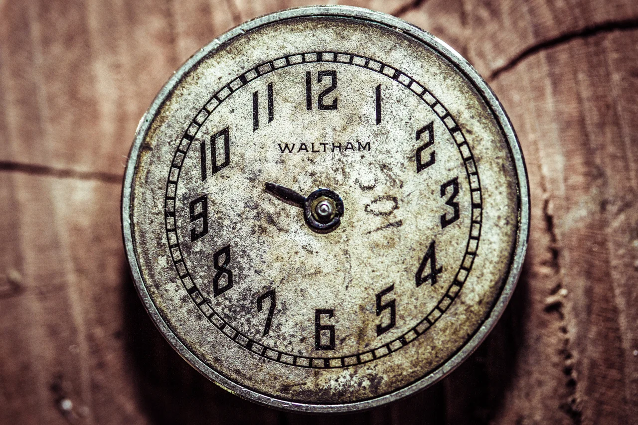 WalthamWatchesMay2016_0320.jpg