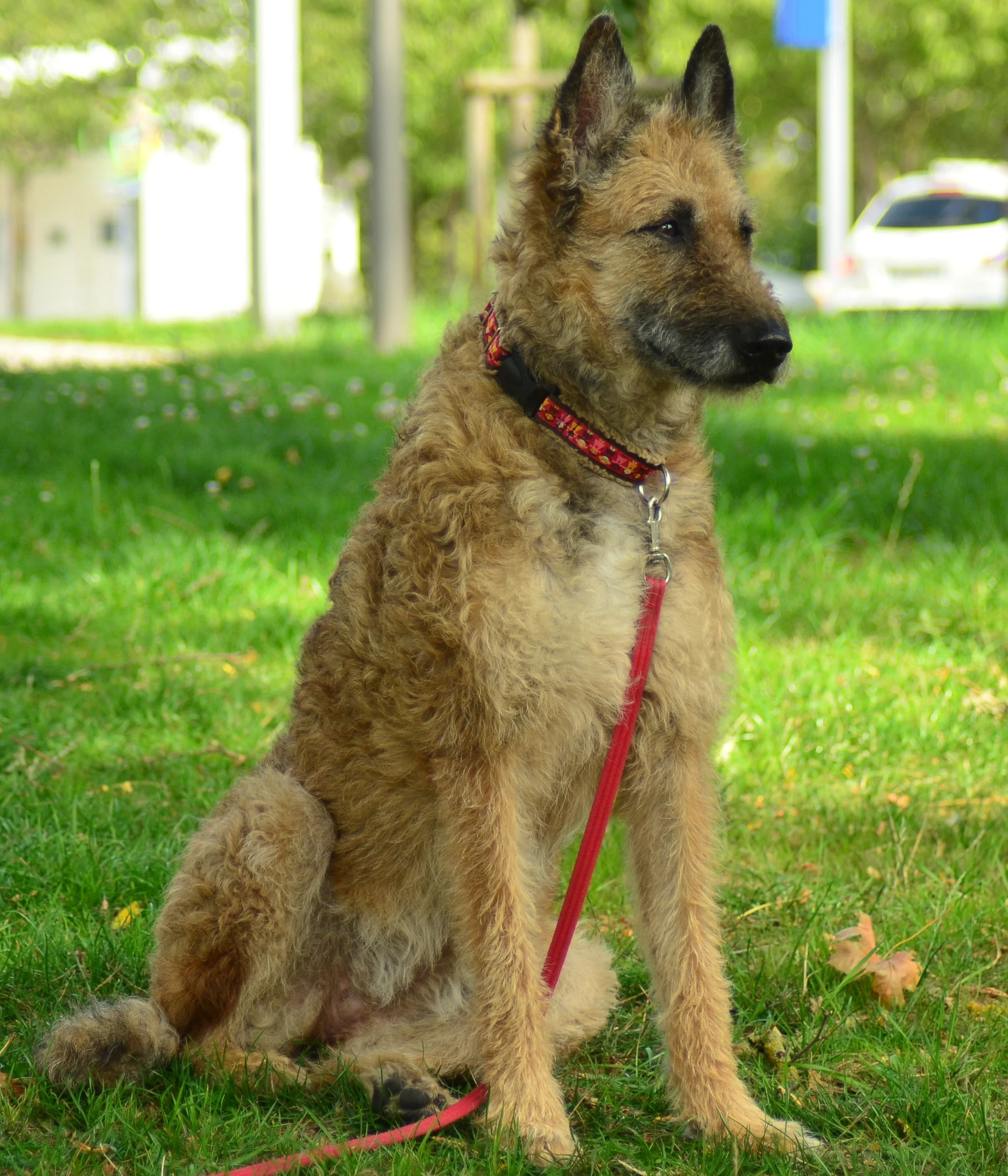DSC_0011.JPG