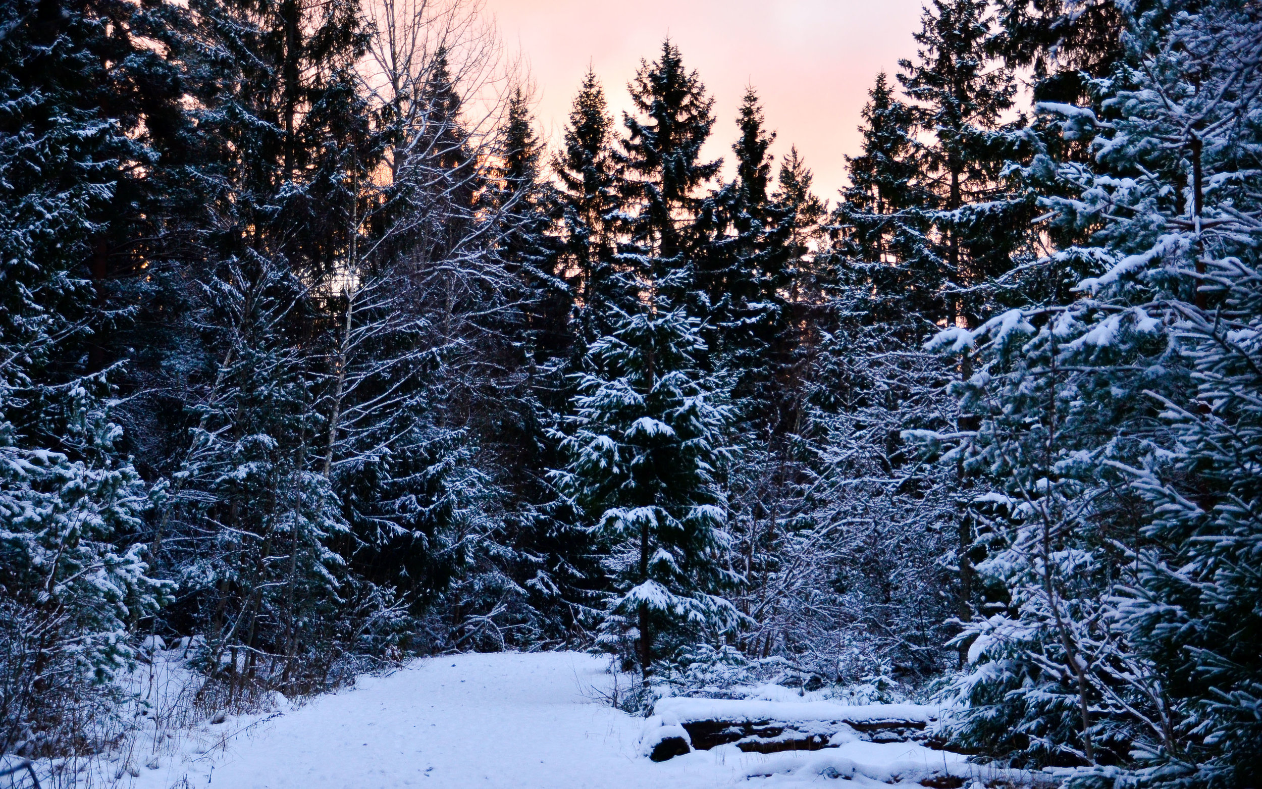 DSC_0003.jpg