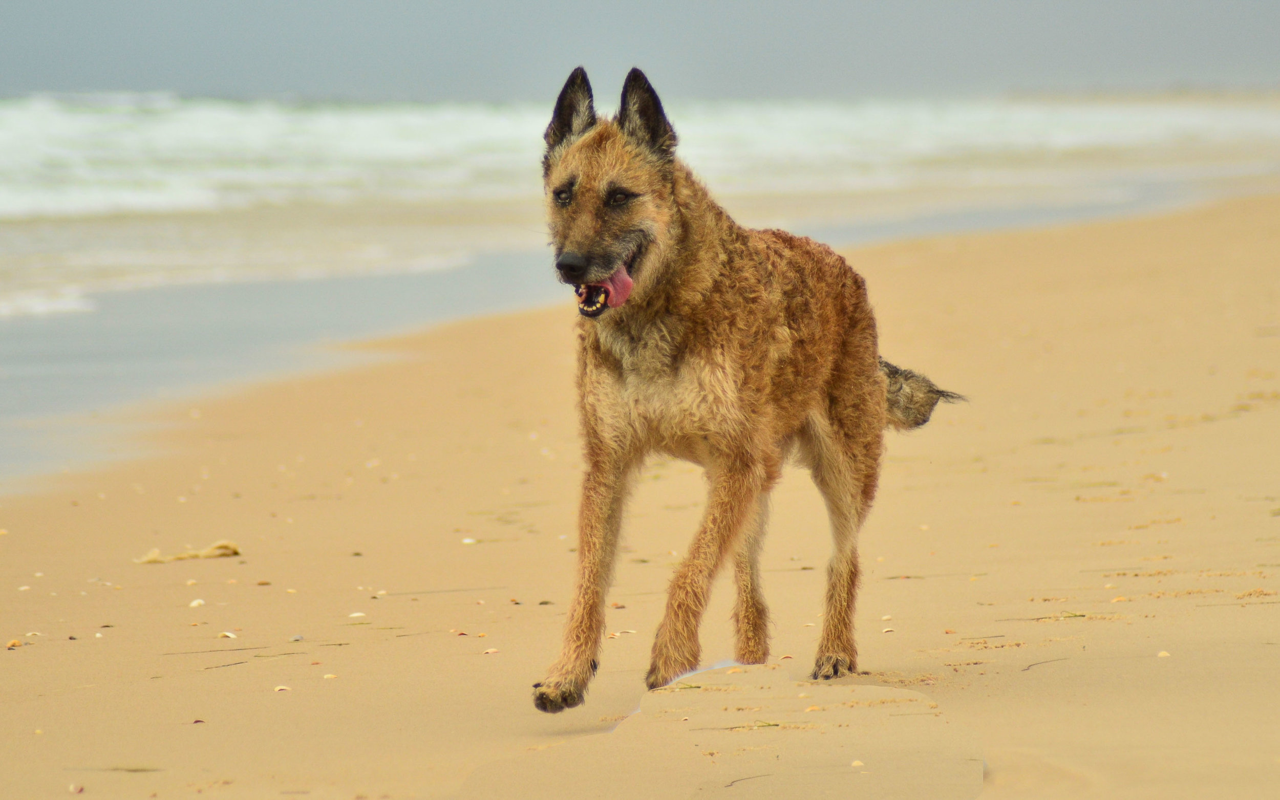 DSC_0097.jpg