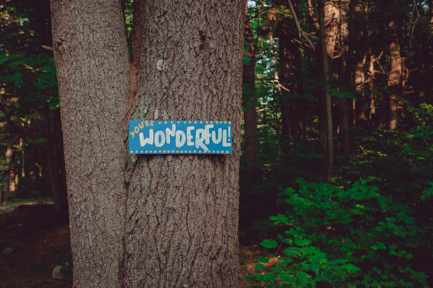 Summer camp for adults opening in Western Massachusetts