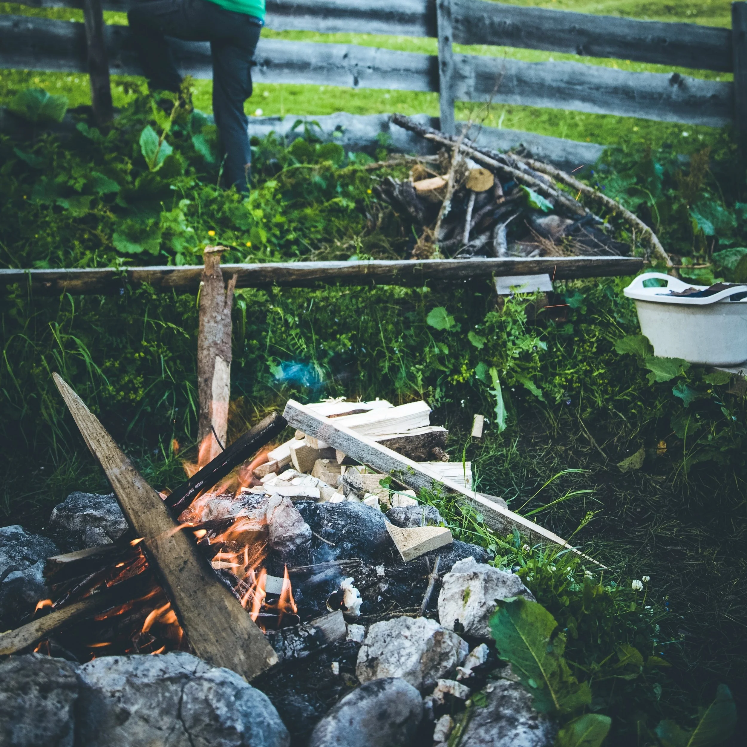 How to Stay Alive in the Woods