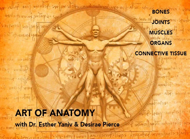 artofanatomy.jpg