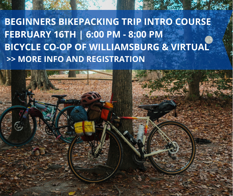 Birthday Celebration 104 (1).png