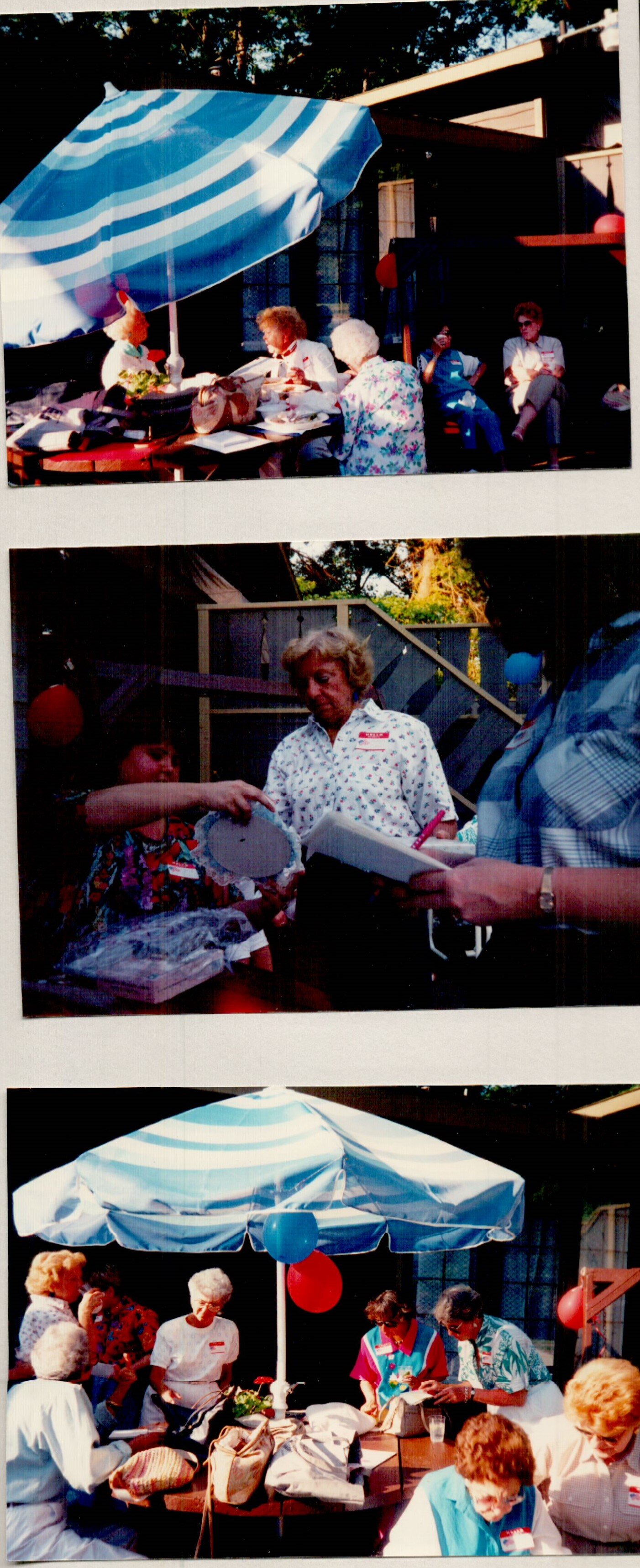 1991 Summer Picnic