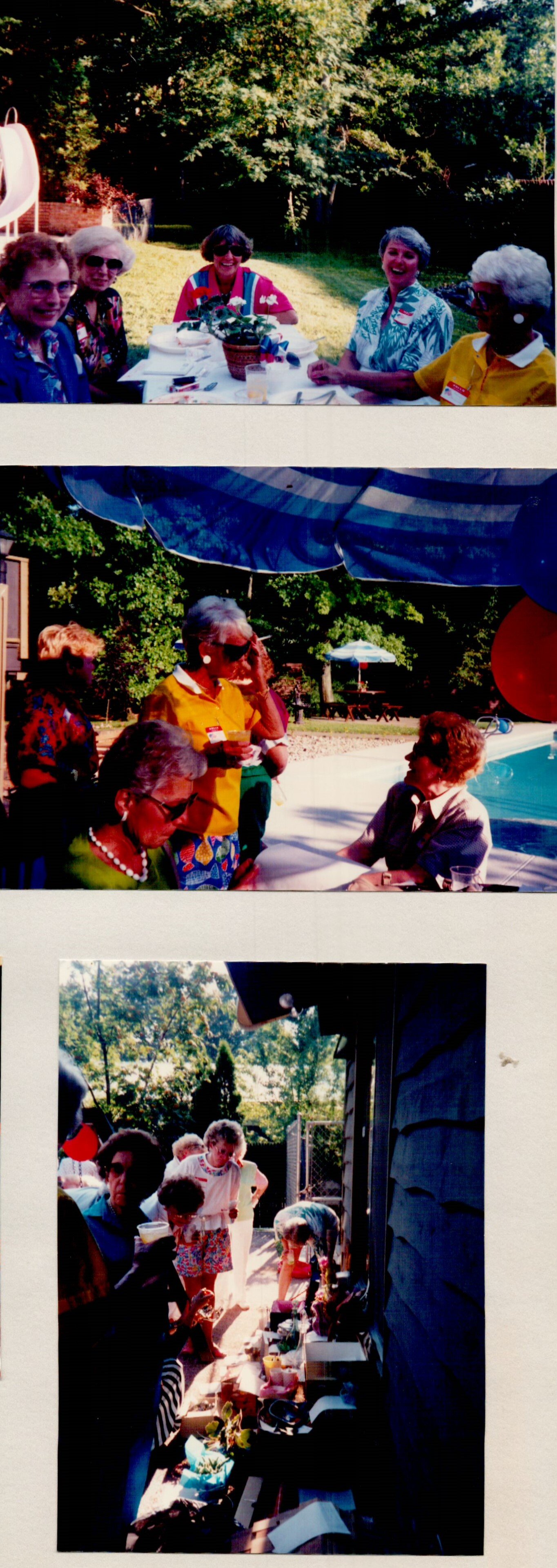 1991 Summer Picnic