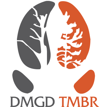 DMGD-TMBR-Logo-Grey-and-Orange.png