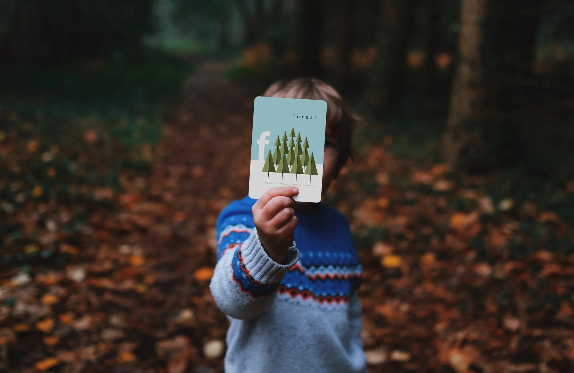 Forest.jpg