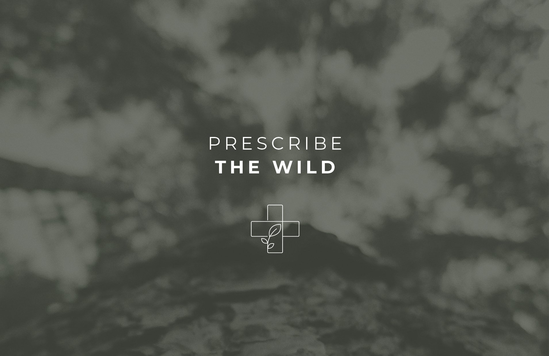 CampWild_Prescribe_the_Wild_Z_Fold_V2.jpg