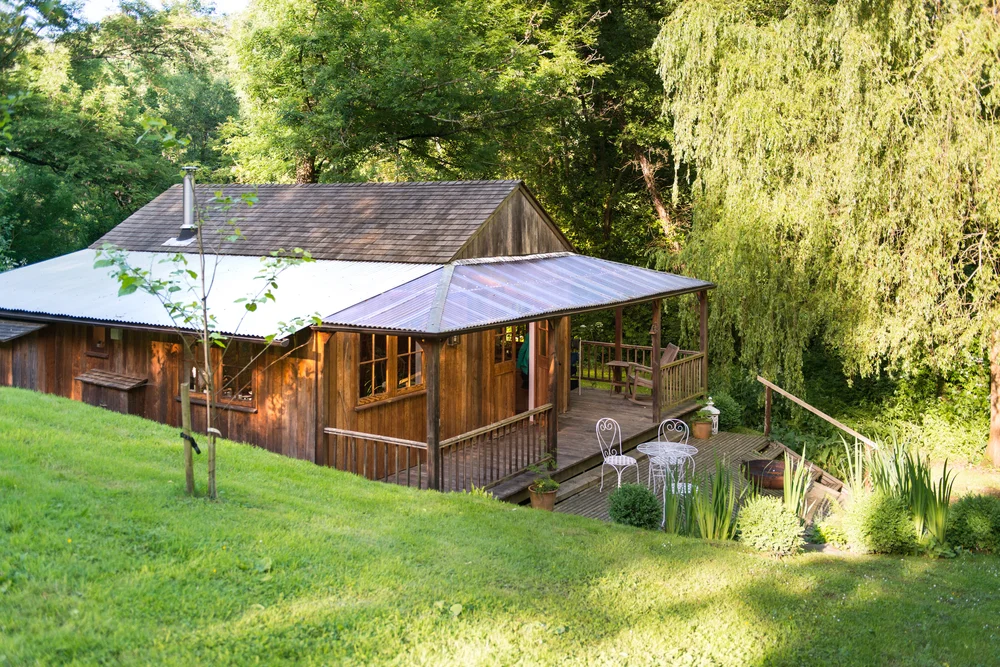 Timber cabin with a veranda above a sunny lawn, edged with planting and a weeping willow