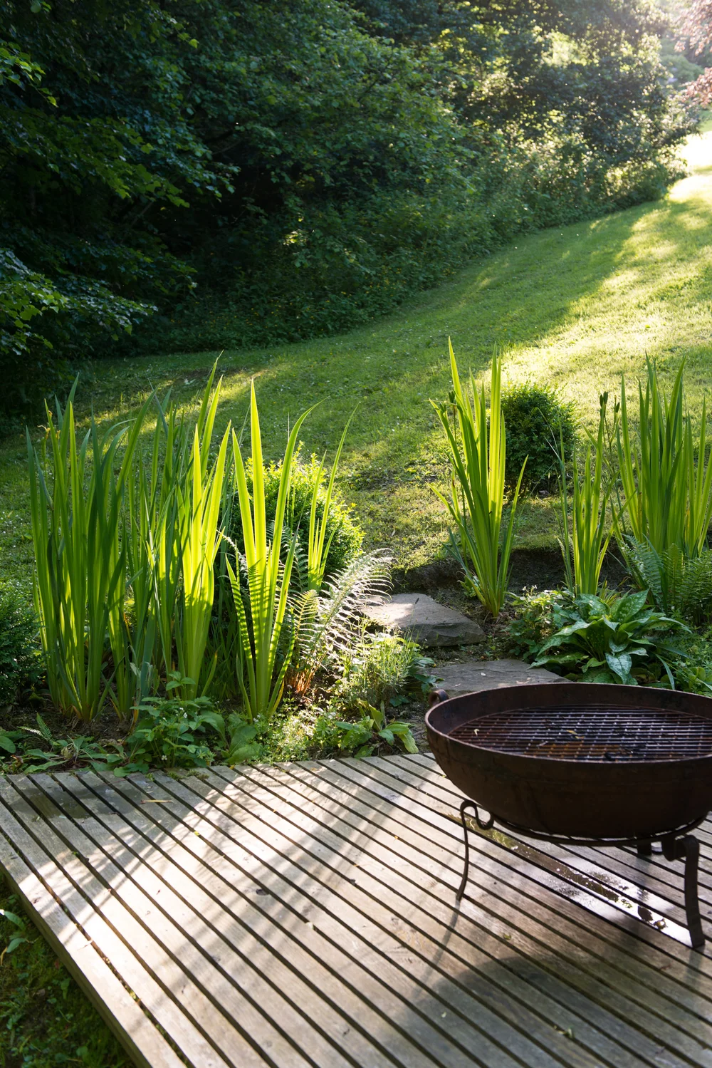 Decking with a fire pit beside irises and ferns, looking up a sunlit lawn to the woods