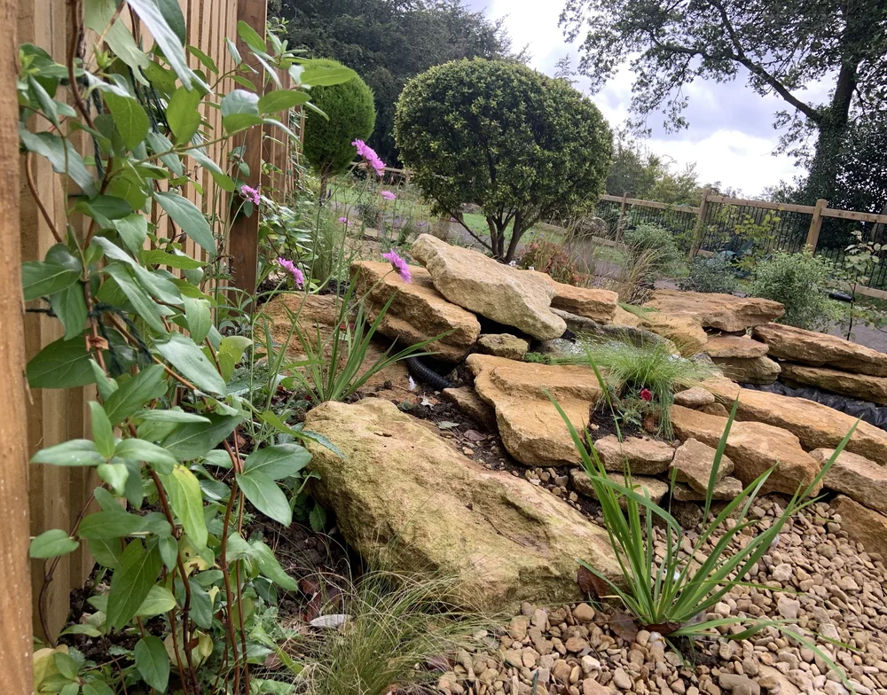 Sandstone rockery and gravel beside a fence of climbers, with a clipped standard behind
