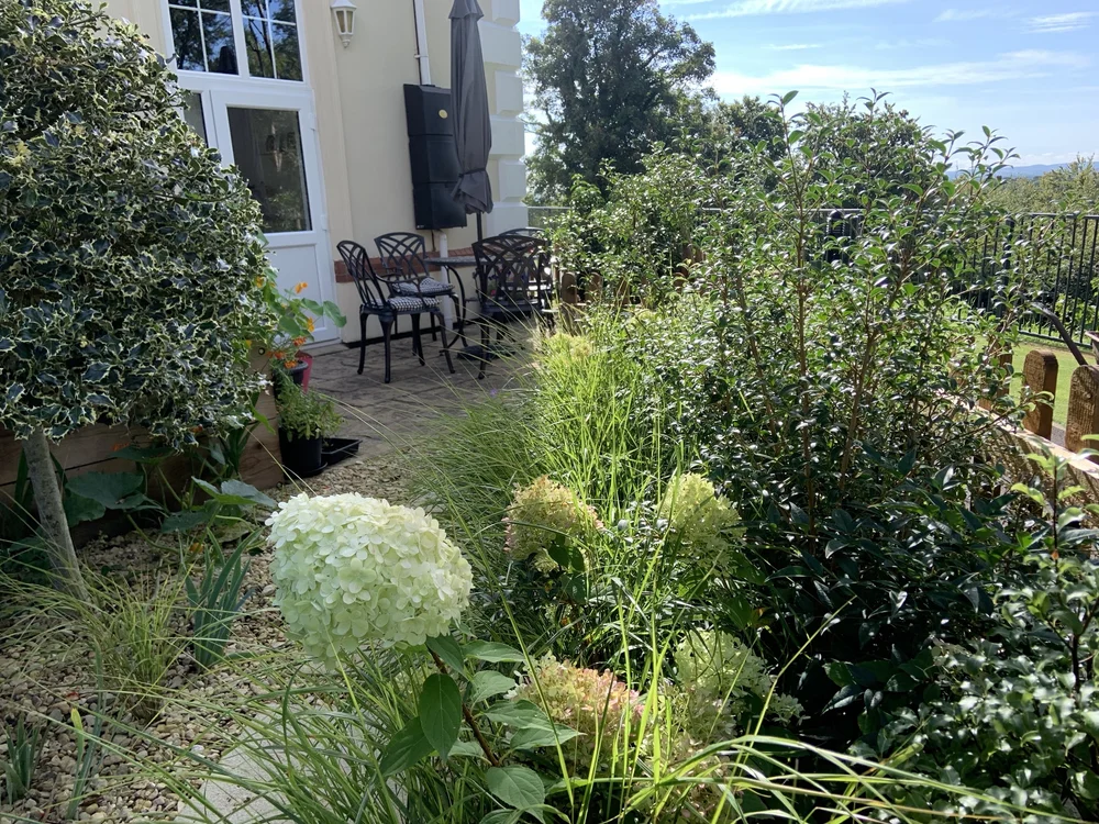 Patio with bistro chairs, framed by hydrangeas, grasses and evergreen planting