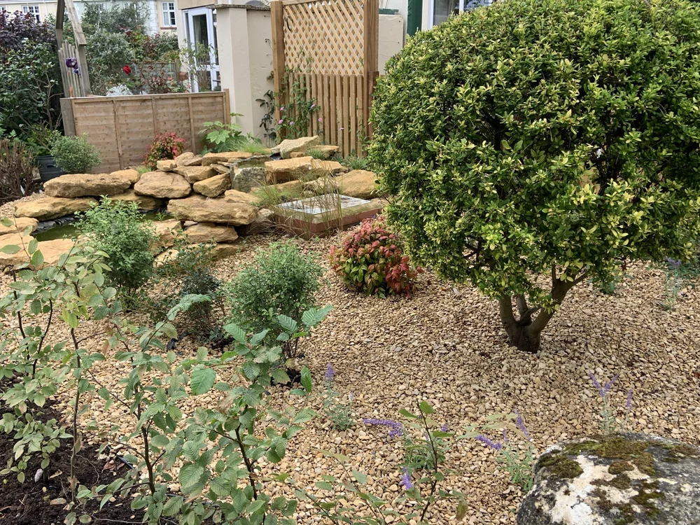 Gravel garden with a clipped evergreen, young shrubs and a stone rockery around the pond