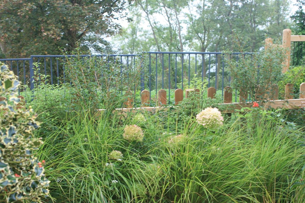 Grasses and hydrangeas in front of railings and new screening