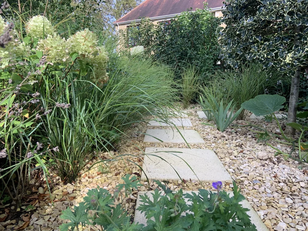 Gravel path with stepping stones through low-maintenance planting