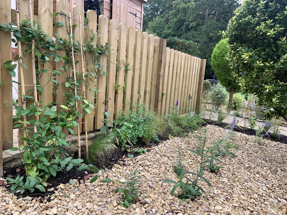 New timber fence with trellis and climbers above a gravel border