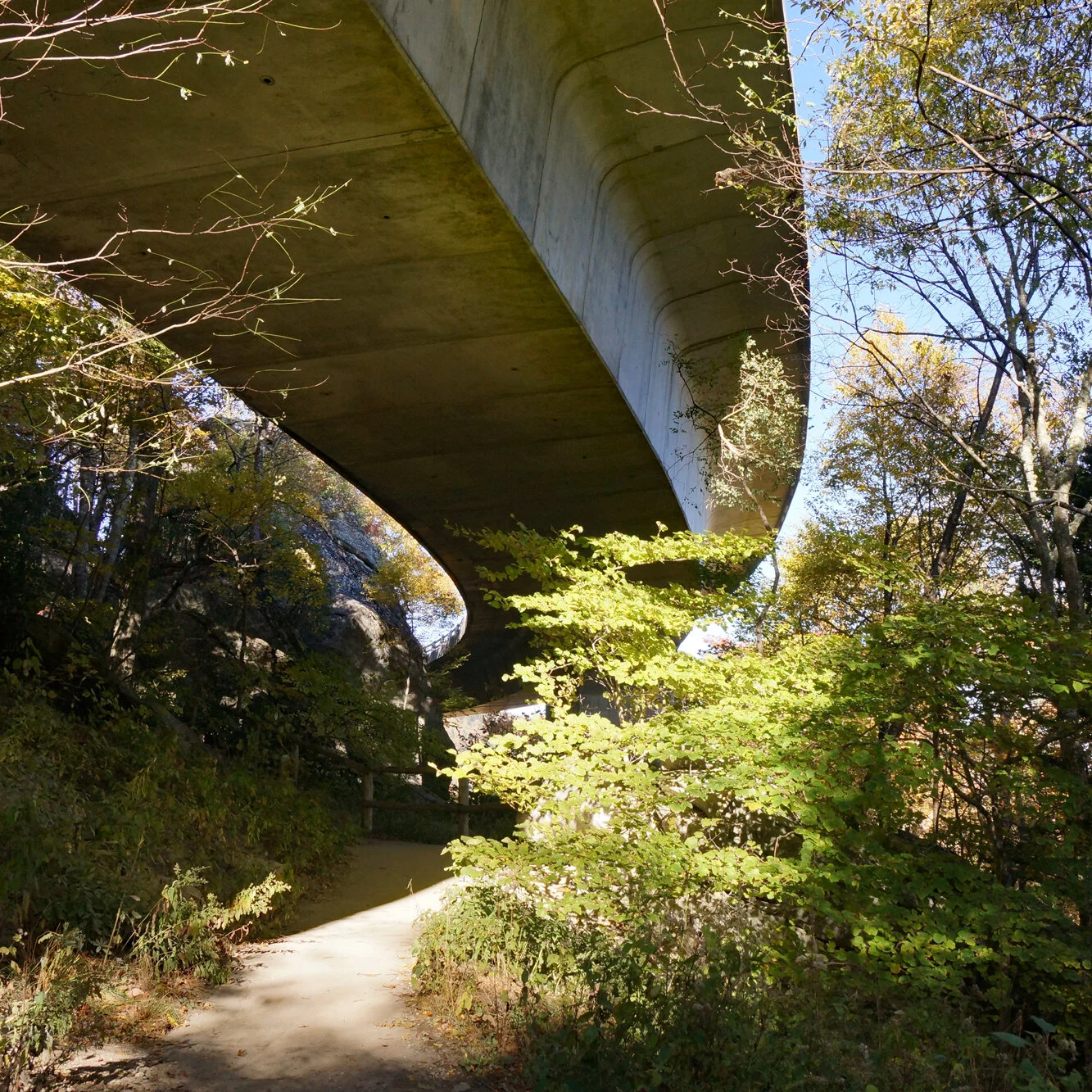Web Viaduct 3 Square.jpg