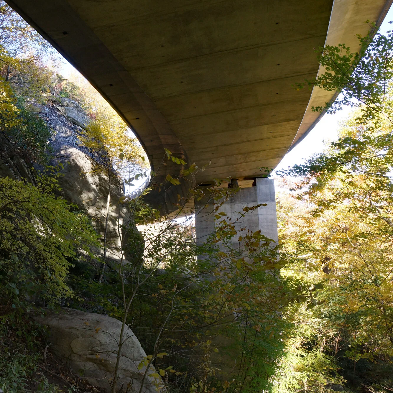 Web Viaduct 4 Square.jpg
