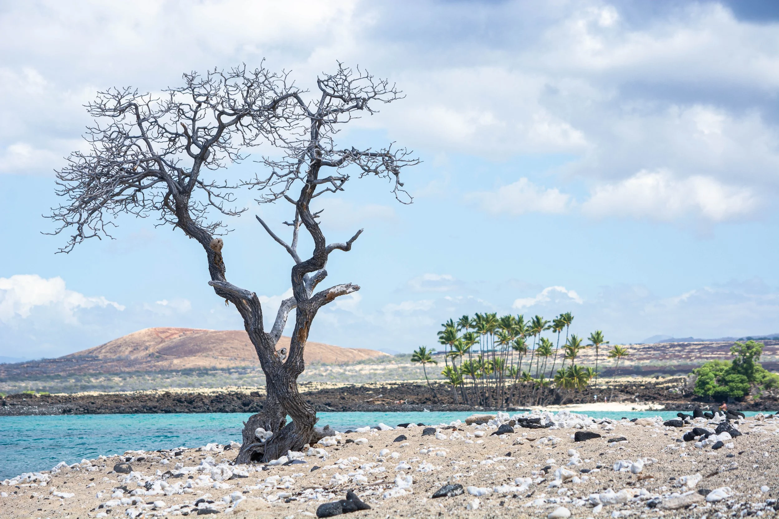 P E R S I S T A N C E