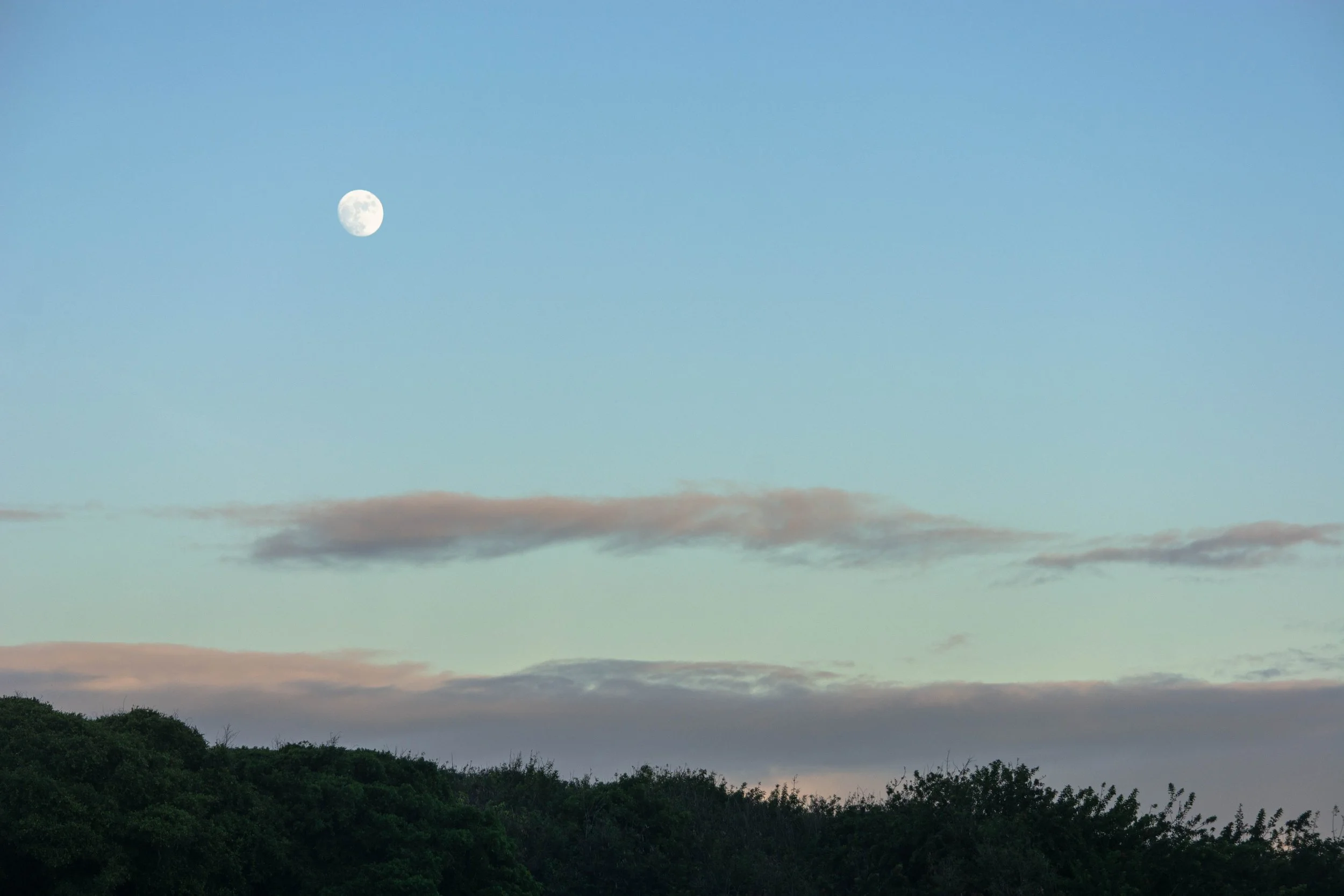 DSC_3640-2-3.jpg