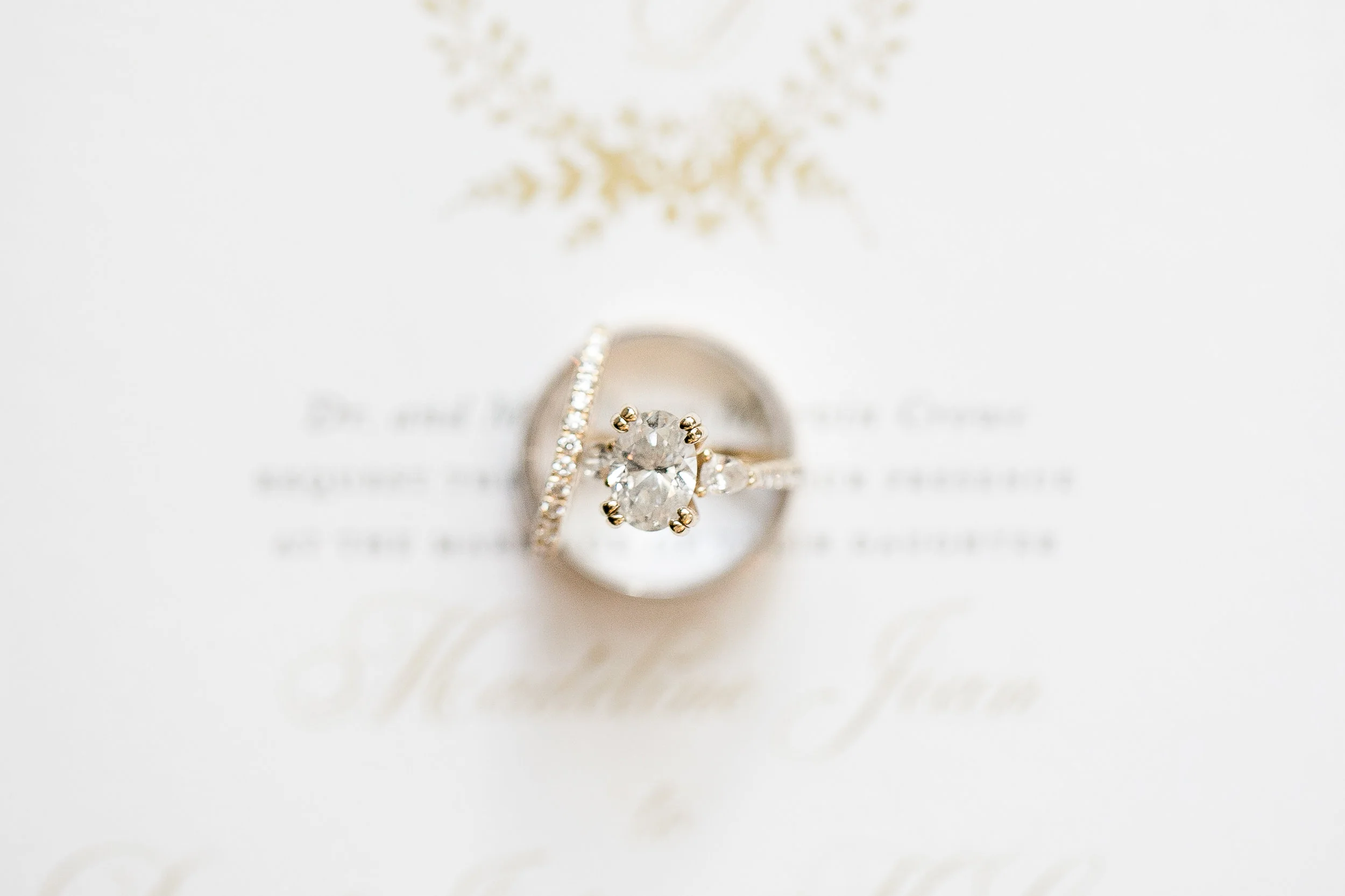 Taylor Dawn Design Wedding Planner Luxury Event Designer Wedding Planning Atlanta Georgia Southeast Celebration Design Biltmore Jill Doty April Spring Green Tie Studio -2.jpg