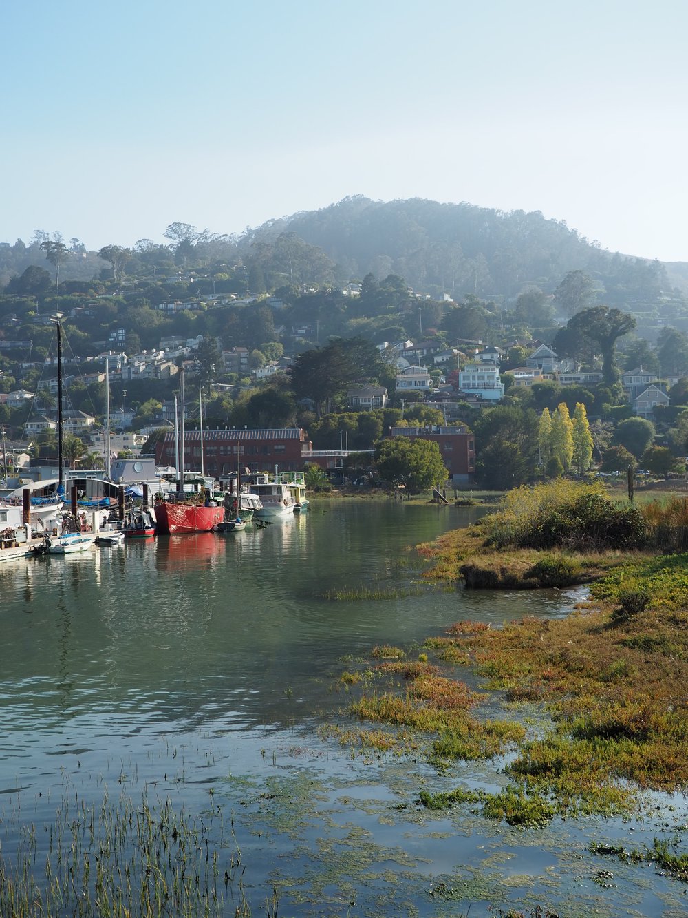 Sausalito.JPG