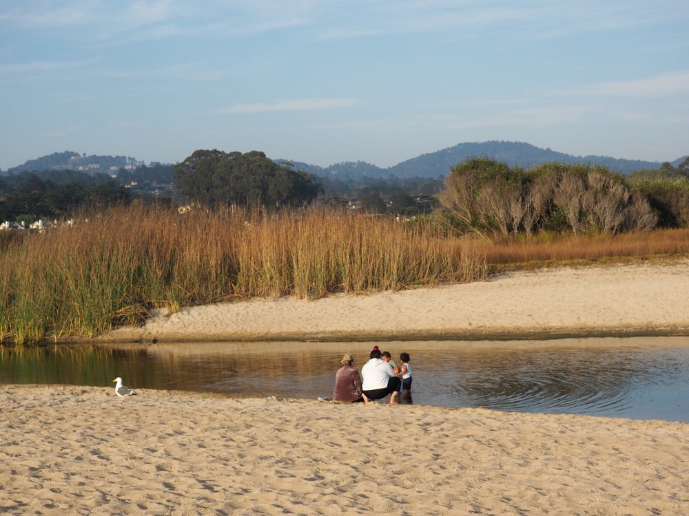 Carmel River Beach (1).JPG