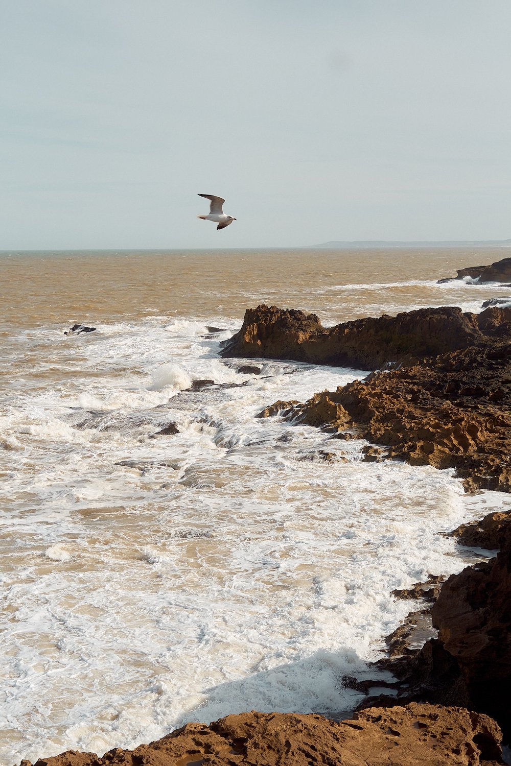 Essaouira_Jardin_des_Douars_ 15.jpg