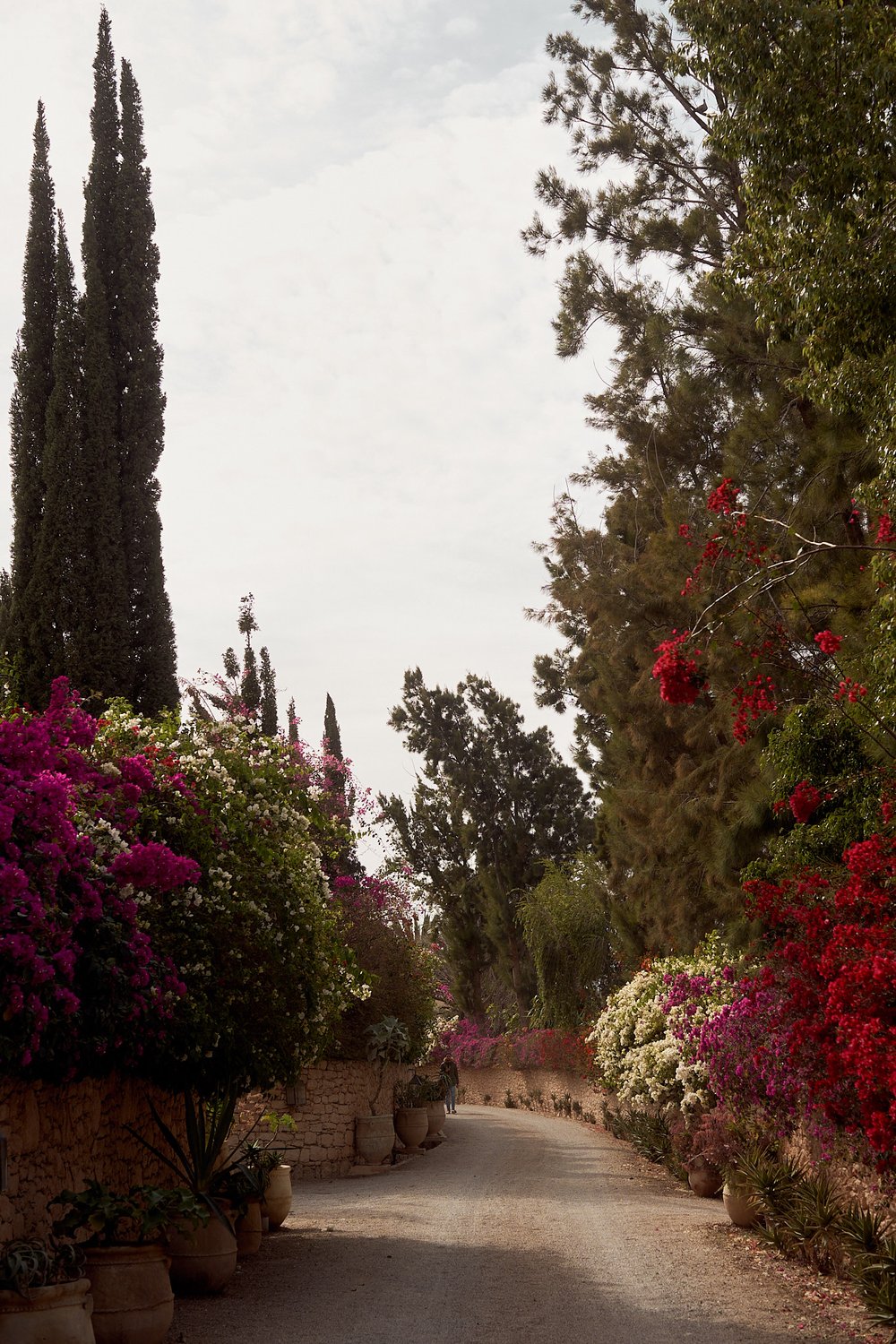 Essaouira_Jardin_des_Douars_ 75.jpg