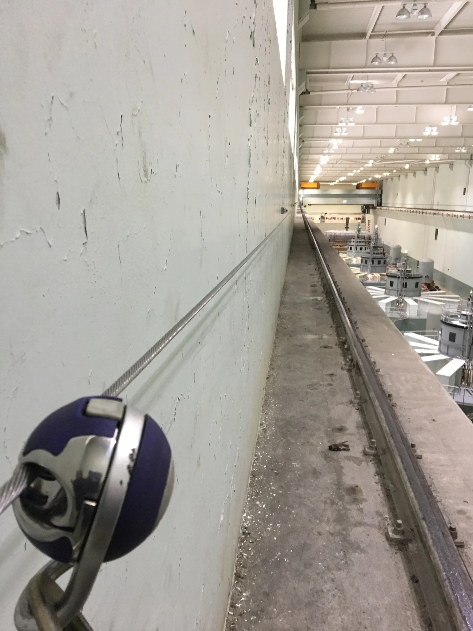 Fall restraint & fall arrest system