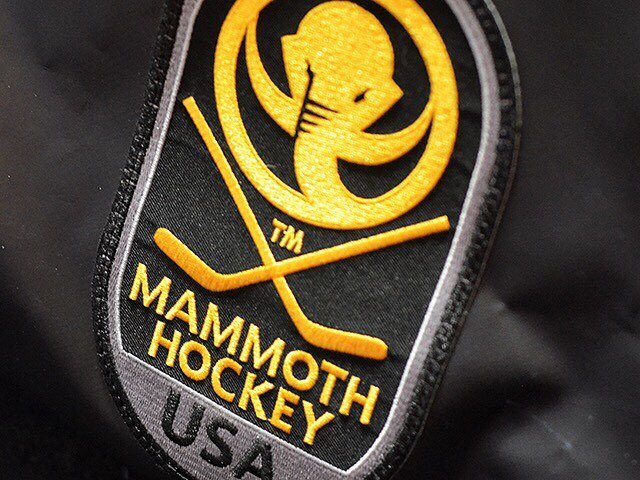 Mammoth Hockey logo. Bold. #graphicdesign #design #thicklines #bold #keepitsimple