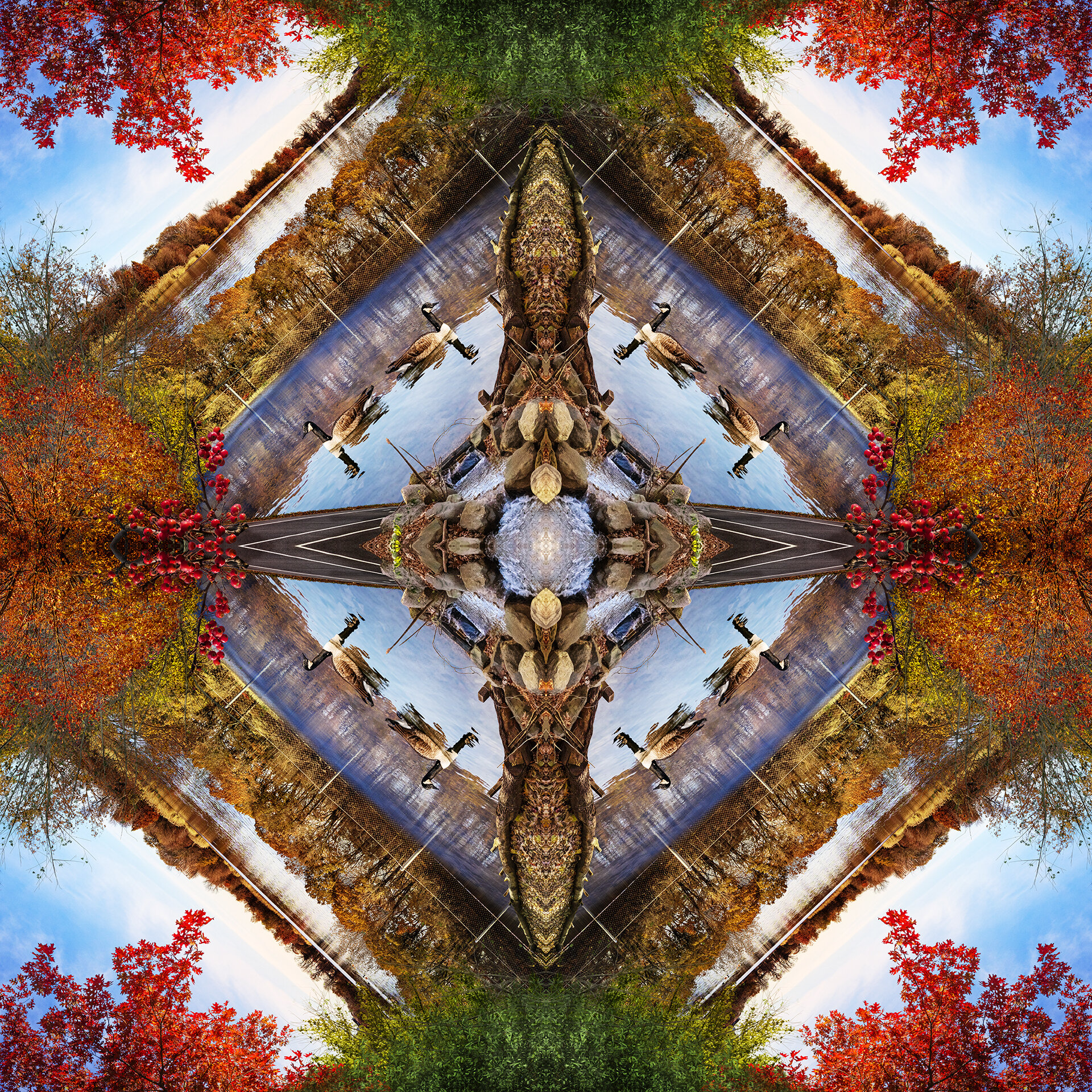 Urban Mandala - Prospect Park Brooklyn