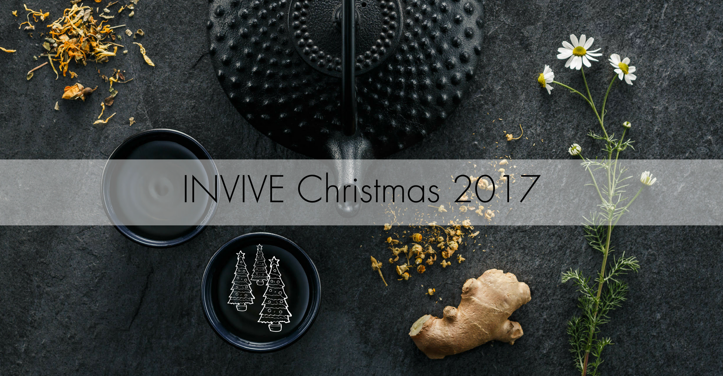 INVIVE Christmas 2017 (5).png