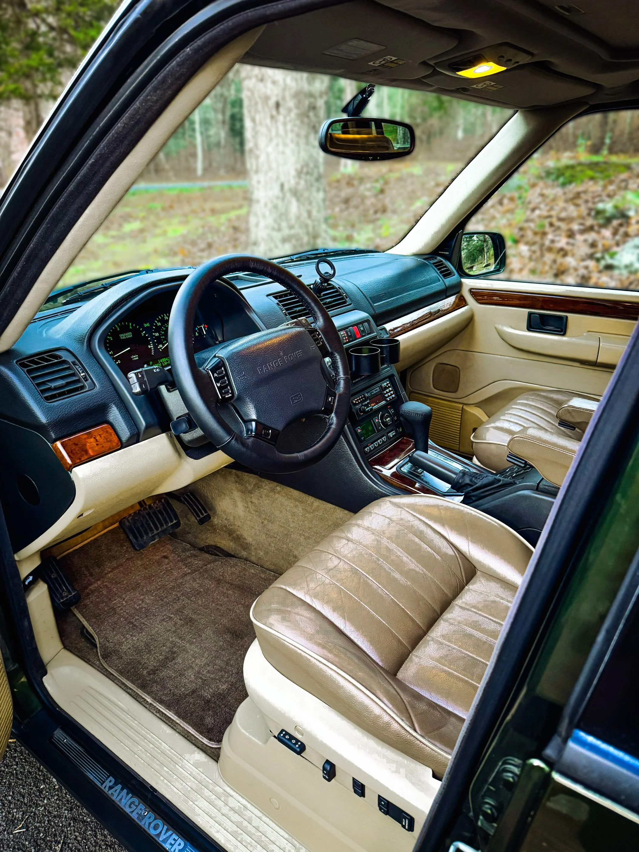 lo-oak-24.jpg