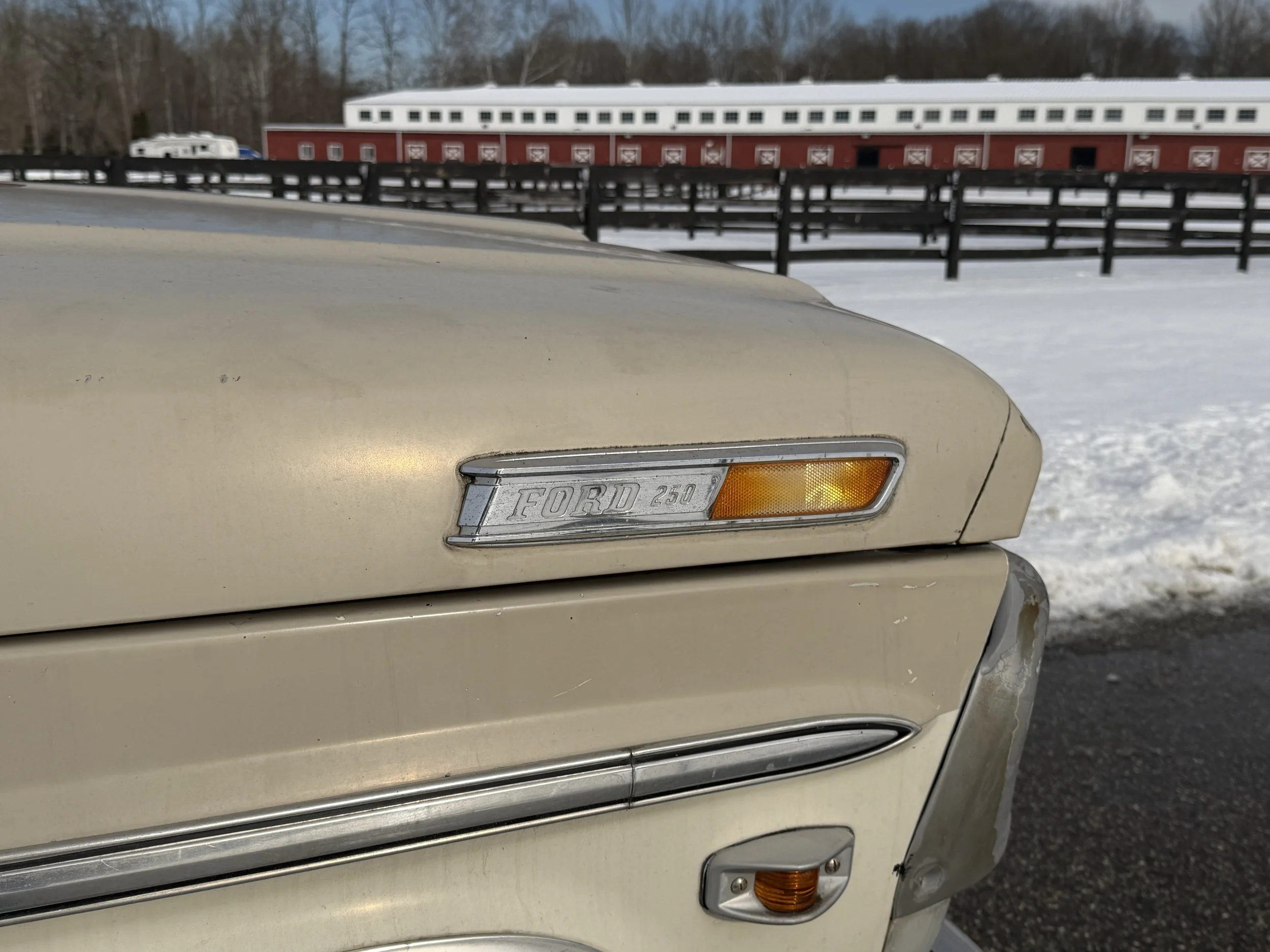 IMG_1503 Kevin Alves.jpeg