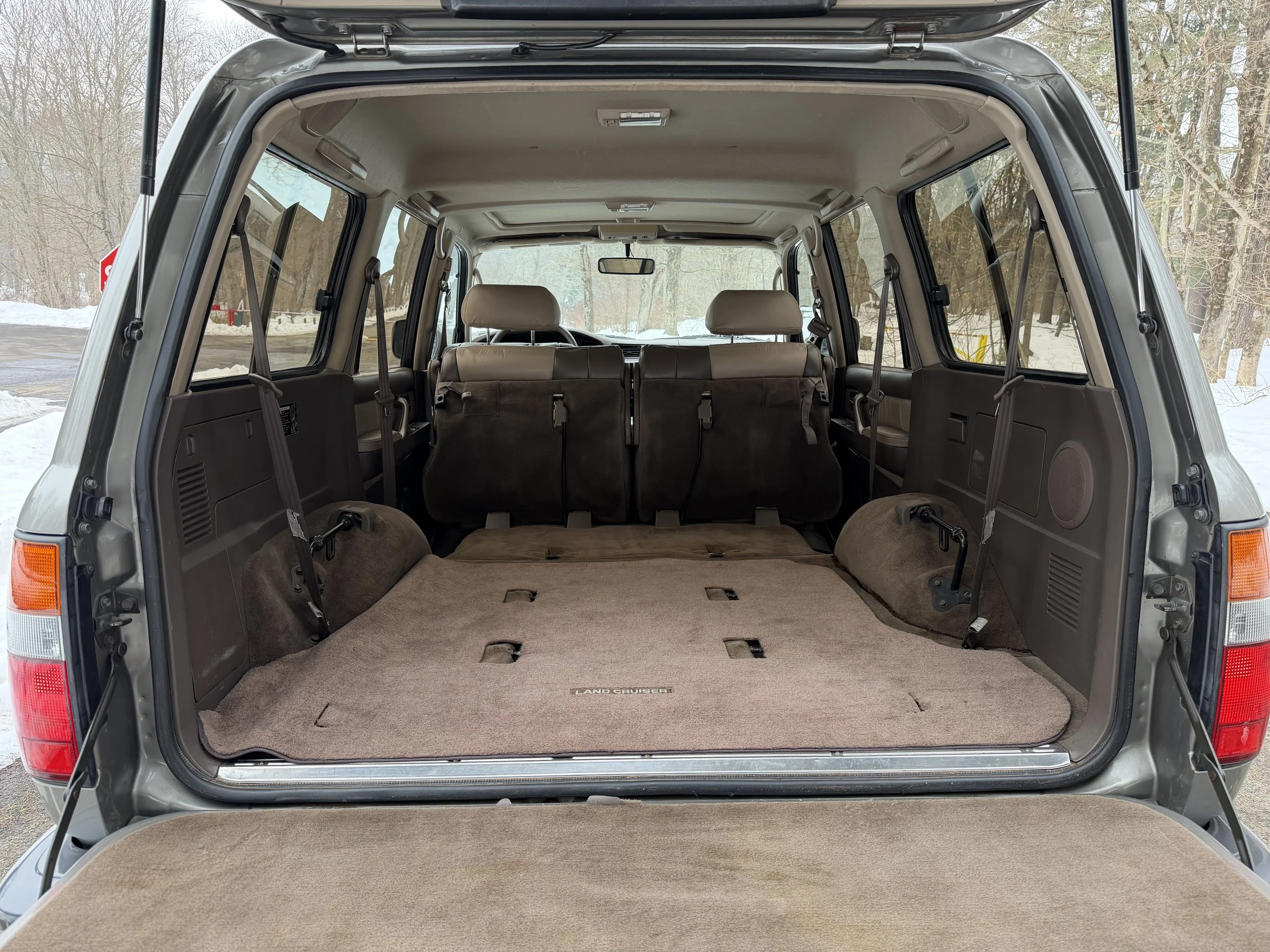 IMG_1921 Kevin Alves.jpeg