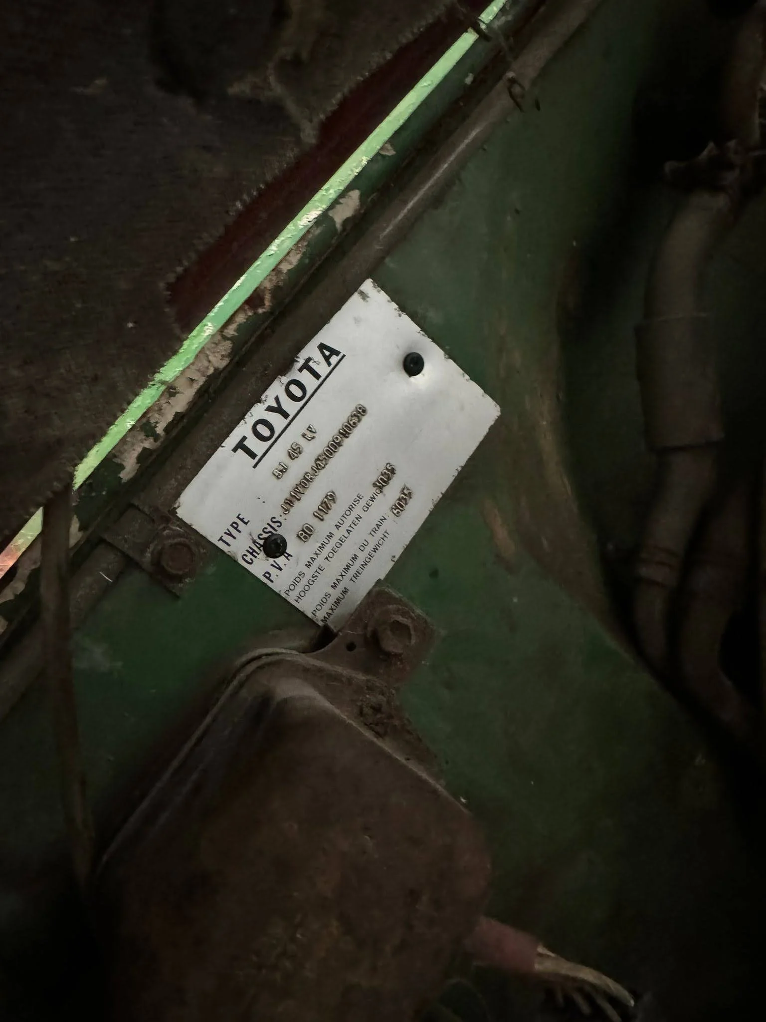 PHOTO-2024-10-04-03-53-22 4.jpg