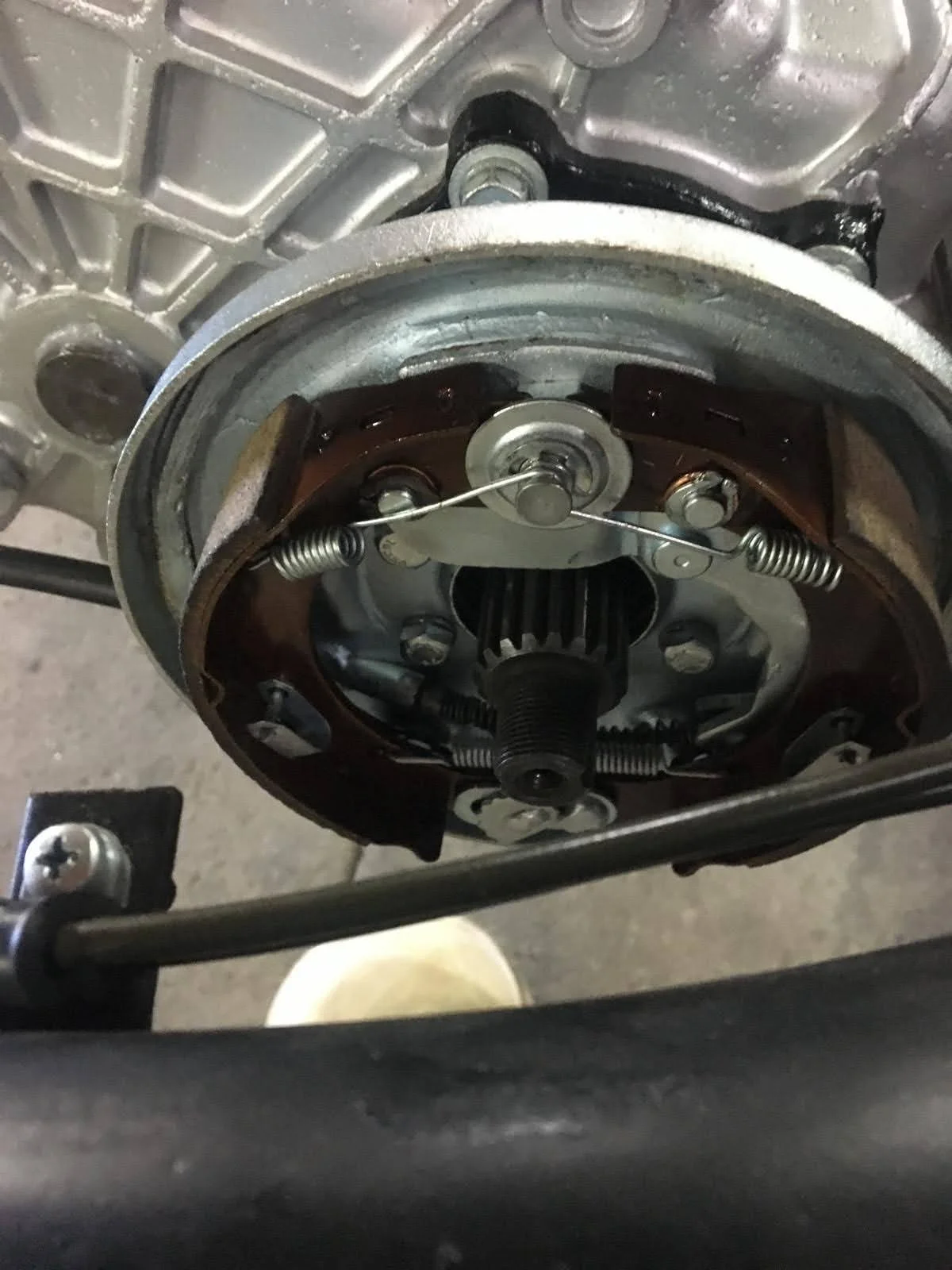 PHOTO-2024-07-12-04-53-44 4.jpg