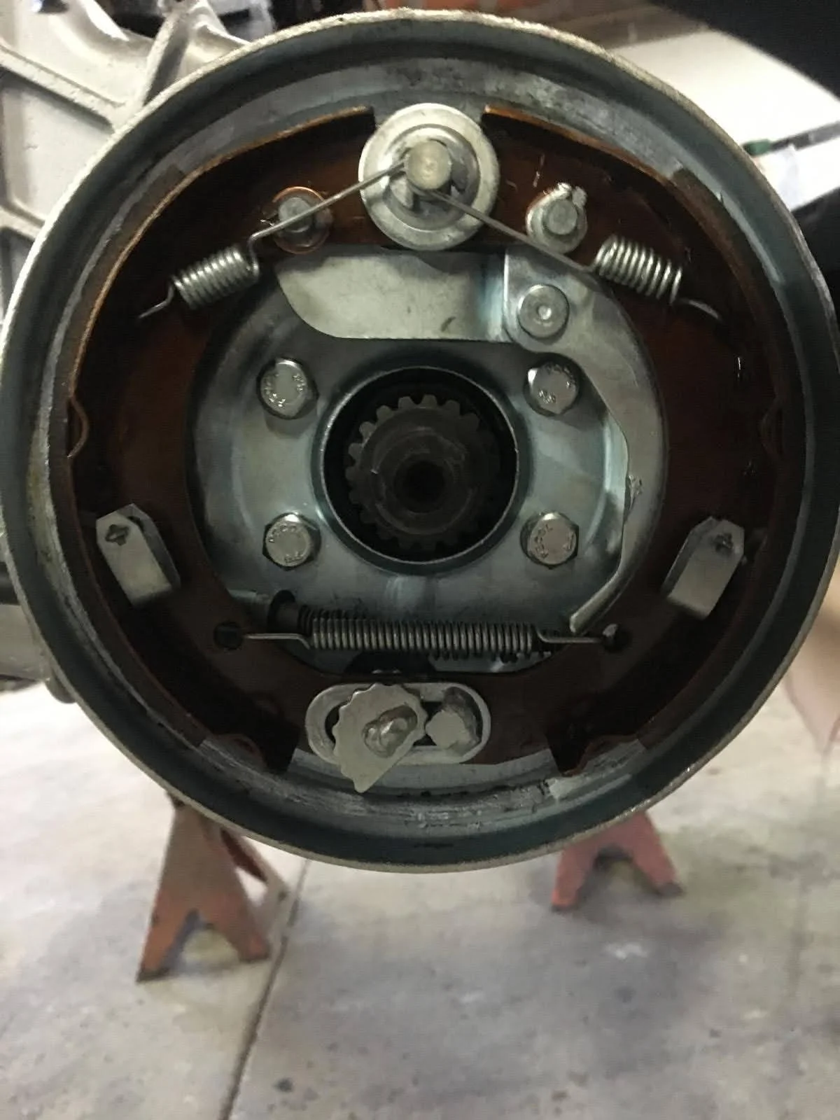 PHOTO-2024-07-12-04-53-44 3.jpg