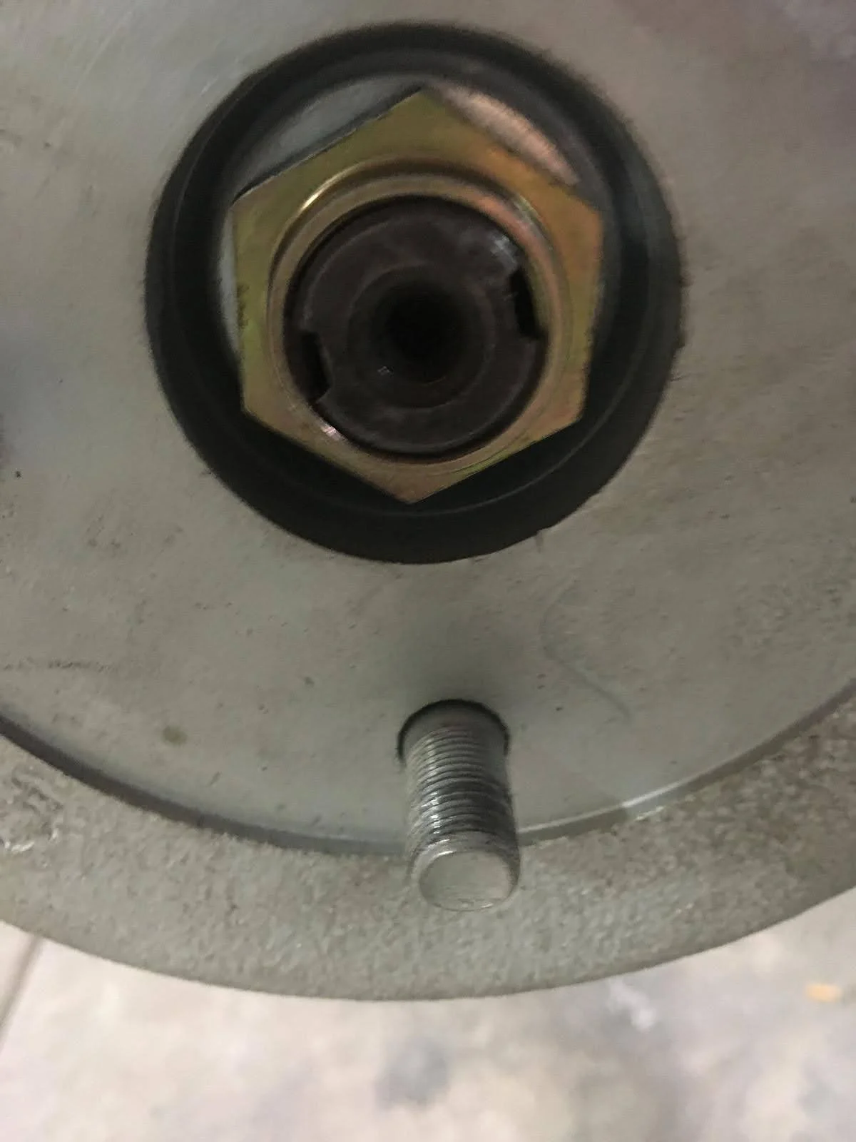 PHOTO-2024-07-12-04-53-43 6.jpg