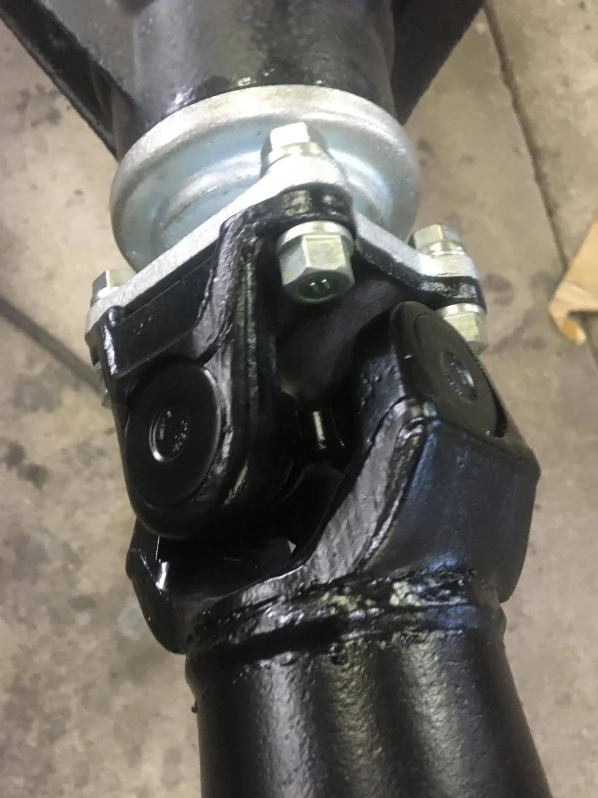 PHOTO-2024-07-12-04-53-43 3.jpg