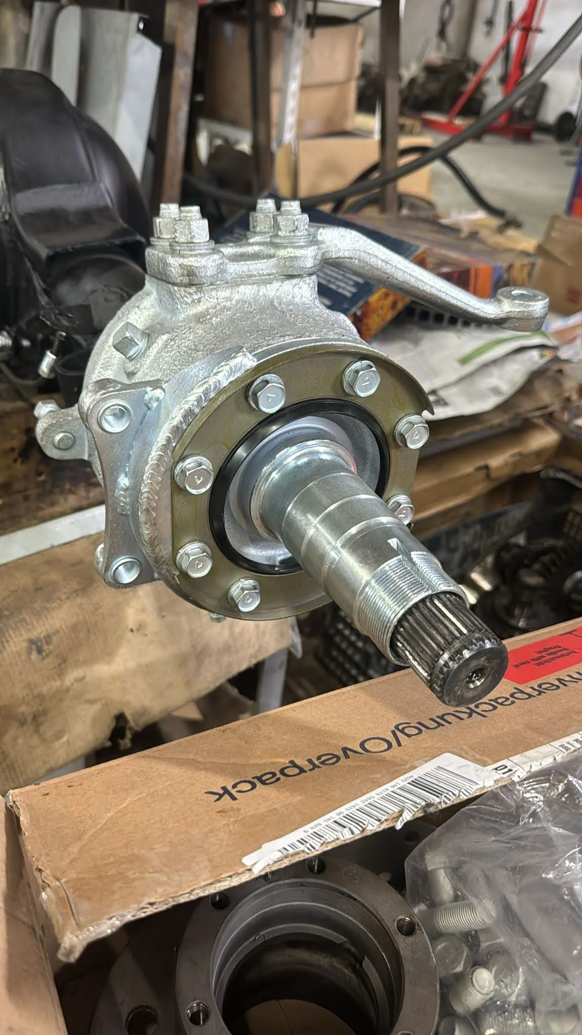 WhatsApp Image 2024-06-14 at 09.33.08.jpeg