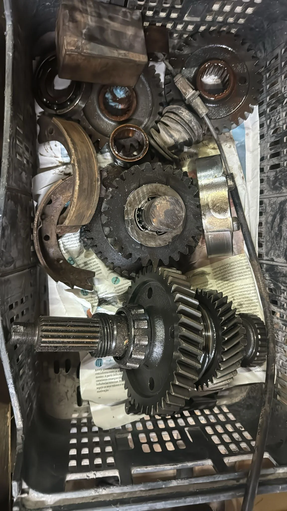 WhatsApp Image 2024-06-14 at 09.34.11.jpeg