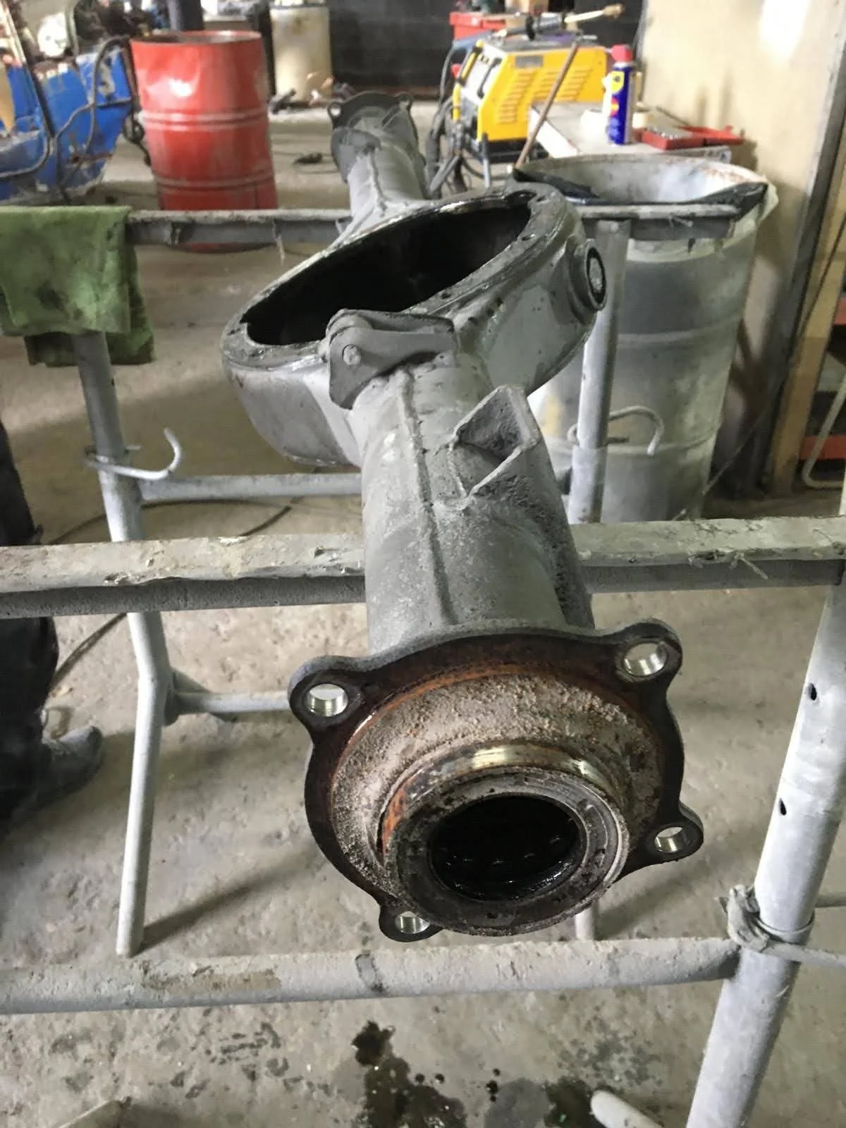 PHOTO-2024-05-10-05-30-04 3.jpg