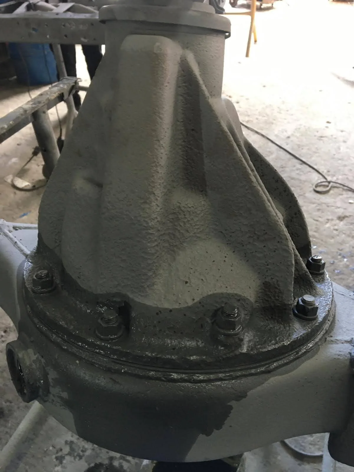 PHOTO-2024-05-10-05-29-43 2.jpg