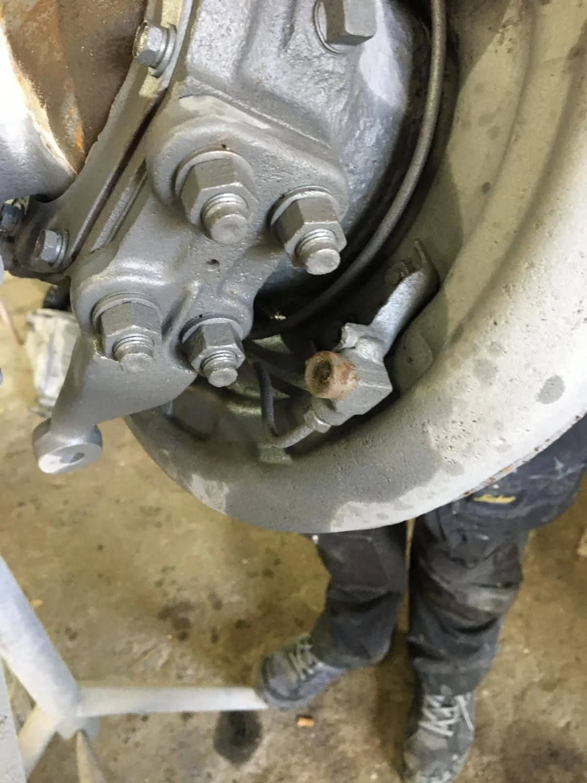 PHOTO-2024-05-10-05-29-42 2.jpg