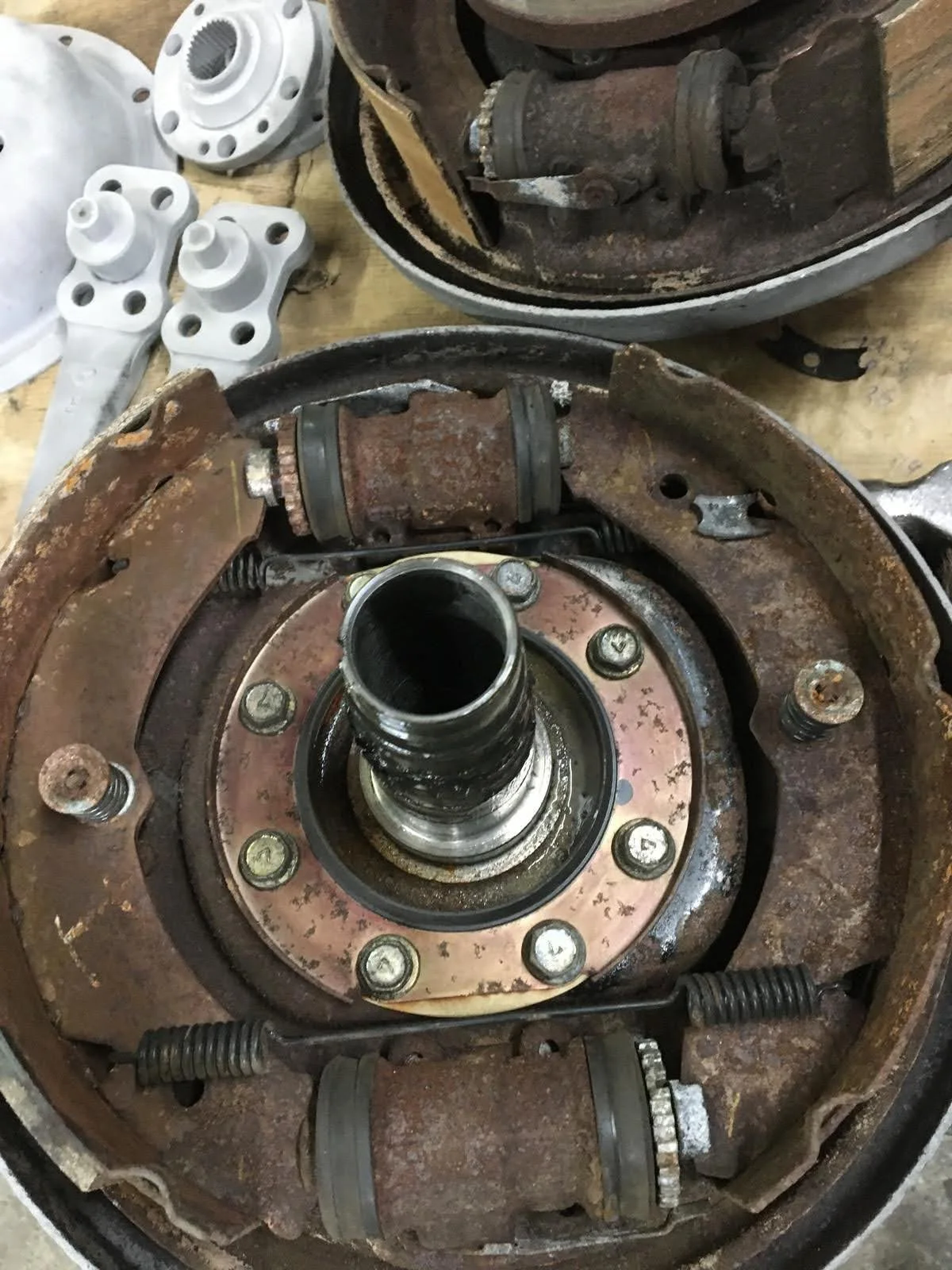 PHOTO-2024-05-10-05-29-40 2.jpg